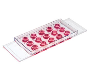 ibidi μ-Slide 血管生成載玻片-81506 81501 81507 89646