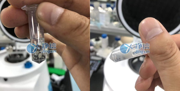 1684997349989135.jpg 25.jpg