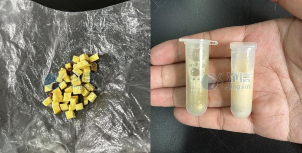 1744796008203724.jpg 4-16- 實(shí)驗(yàn)案例底圖.jpg