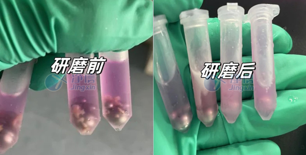 1745992674474851.jpg 4-30- 實驗案例底圖.jpg