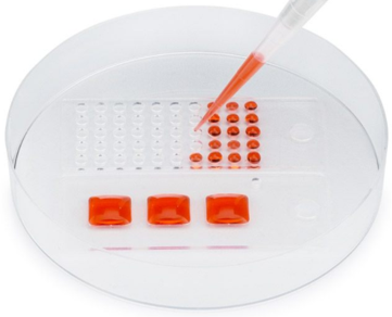 CultureWell?可重復(fù)使用硅膠墊片 CultureWell?可重復(fù)使用硅膠墊片