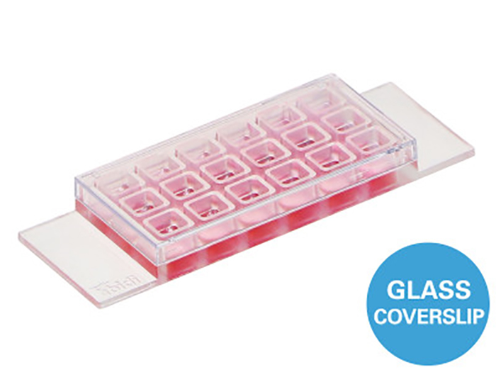 μ-Slide 18孔腔室載玻片 - 81816 81817 81818 81811 μ-Slide 18孔腔室載玻片 - 81816 81817 81818 81811