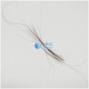 上海凈信研磨頭發(fā)樣品新突破！快速鑒定疑犯是否吸毒