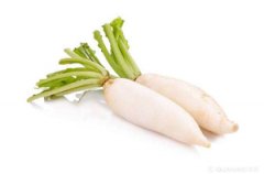 蘿卜提取DNA采用全自動樣品快速研磨儀能得到什么結(jié)果？